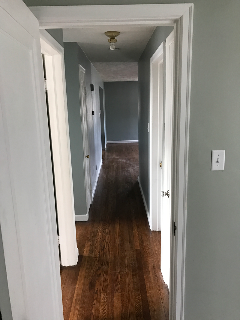 Hallway, from the guest room looking out to the living room.